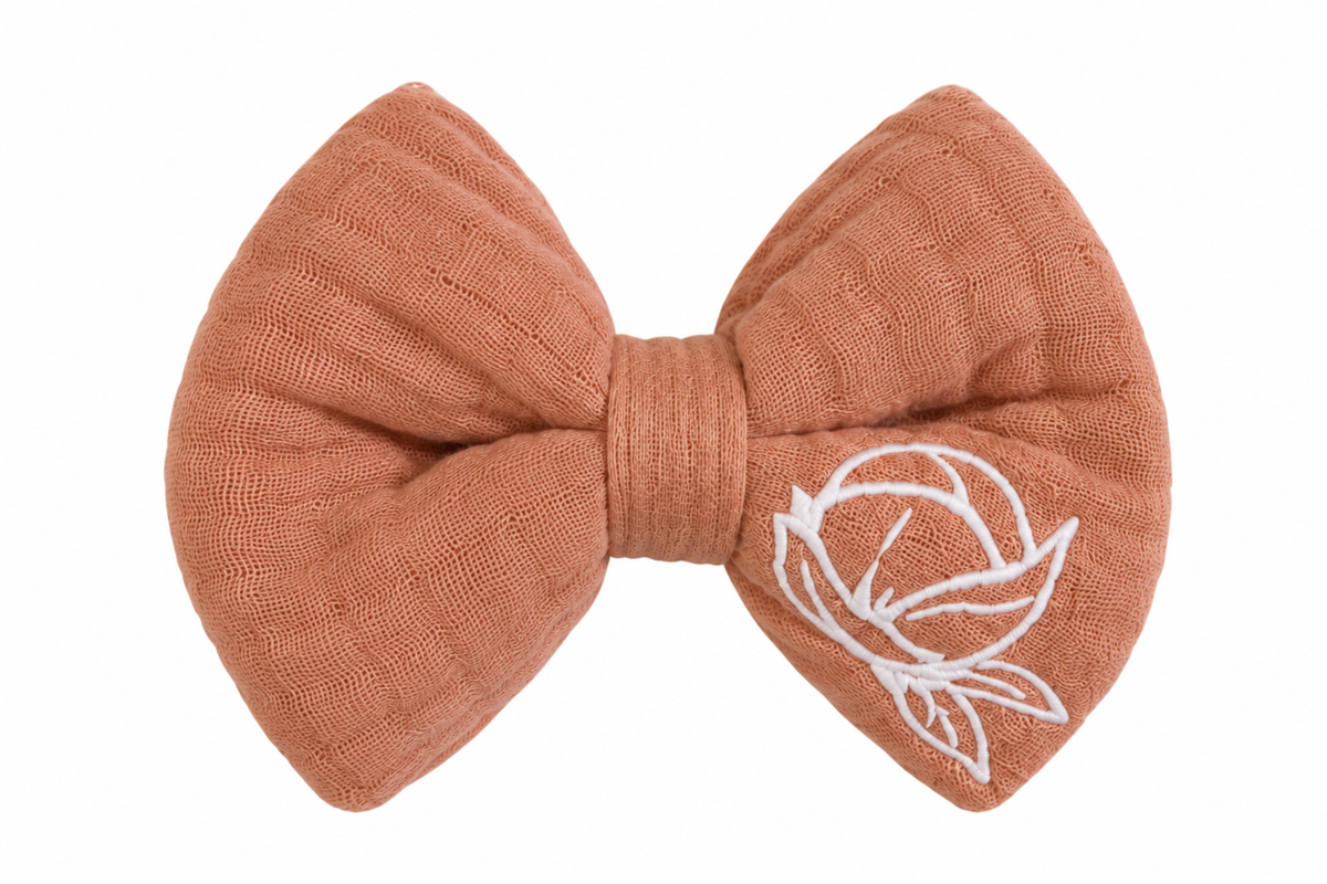 Hair Bow Clip